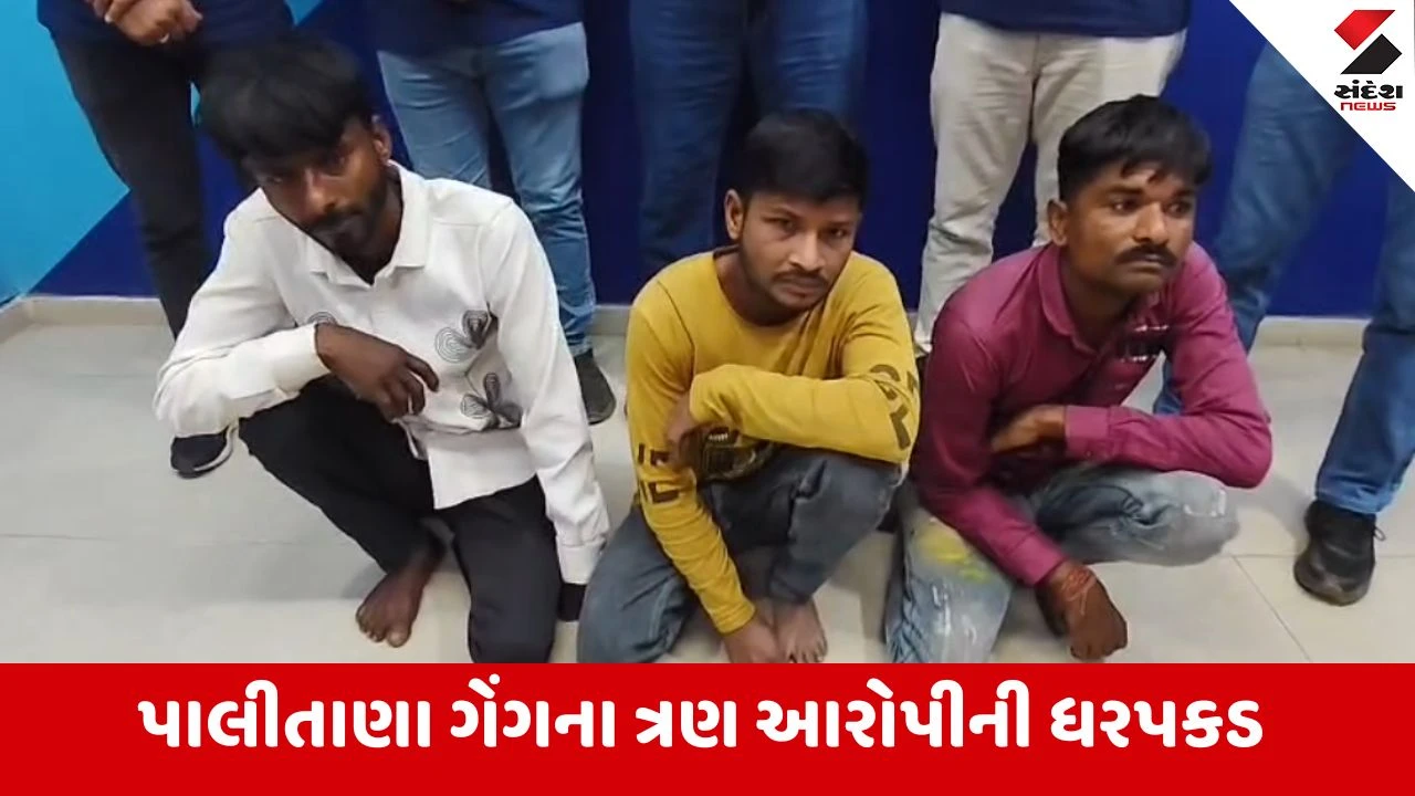 Surat ક્રાઇમ બ્રાન્ચે રિક્ષા ગેંગને ઝડપી પાડી, મહિલા મુસાફરોને લક્ષ્ય બનાવી ચોરી કરતી હતી 
