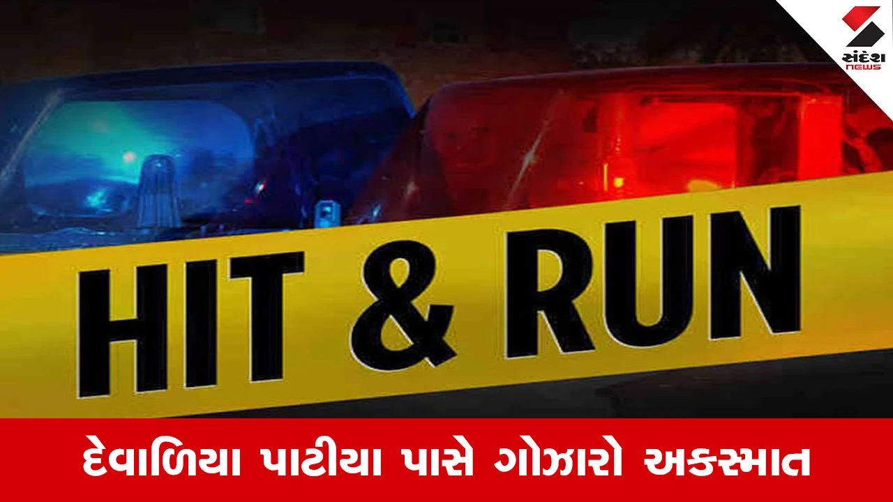 Morbi News : હળવદમાં હિટ એન્ડ રન, દેવાળિયા નજીક રસ્તો ક્રોસ કરતા વૃદ્ધને અજાણ્યા વાહને કચડ્યા 