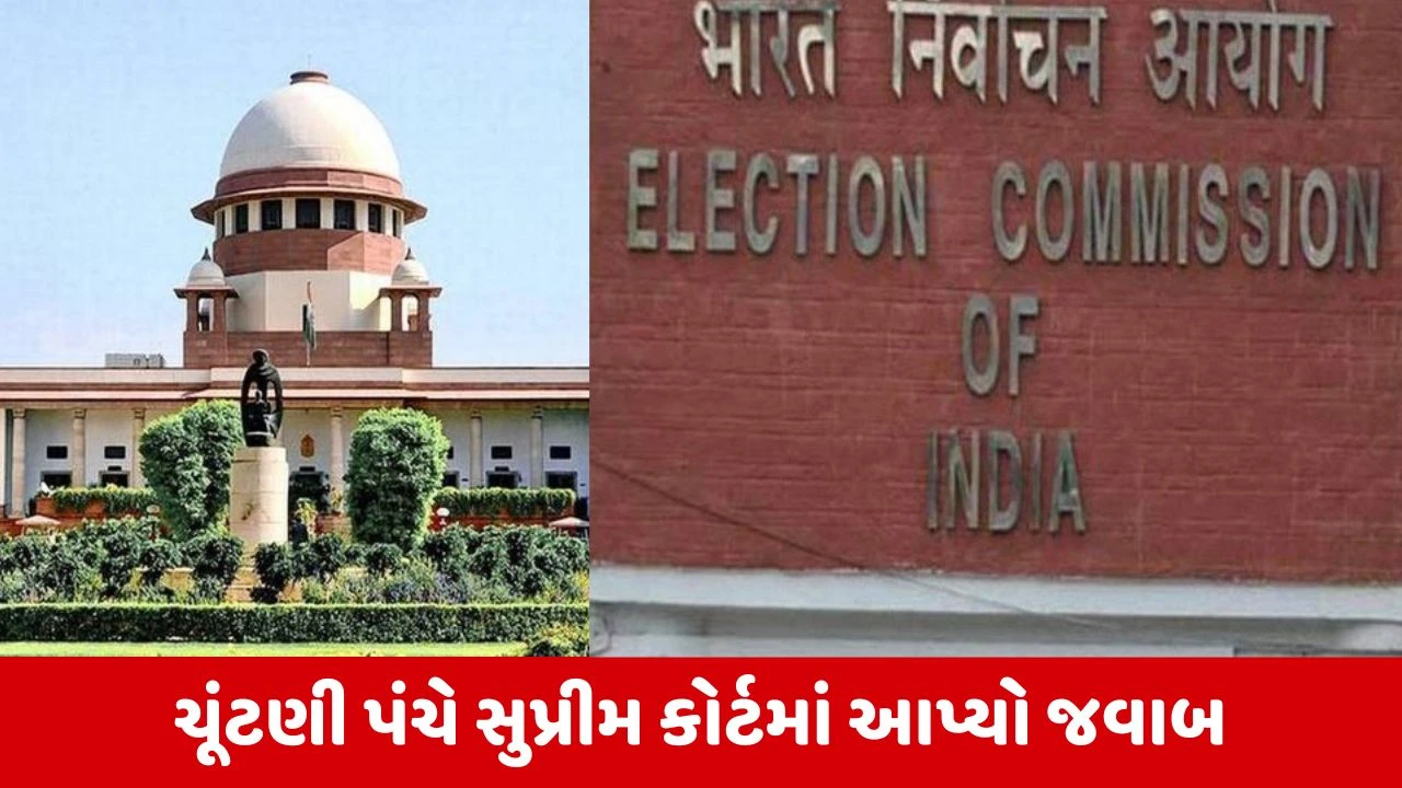 National News : અમારી પાસે મતદારોની નાગરિકતા ચકાસવાનો અધિકાર: ચૂંટણી પંચ 