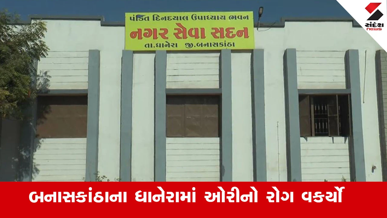Banaskantha News : બનાસકાંઠાના ધાનેરામાં ઓરીના 9 કેસ પોઝિટિવ અને 37 કેસ શંકાસ્પદ, ધાનેરા પંથક ચેપગ્રસ્ત જાહેર થવાની સંભાવના 