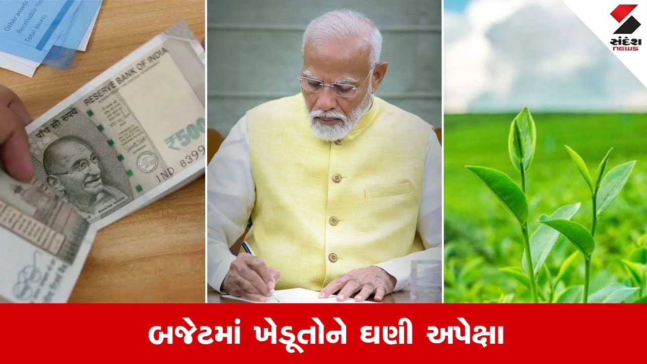 Budget 2026: બજેટમાં ખેડૂતોને રાહતની અપેક્ષા, શું કિસાન સન્માન નિધિ યોજનાની રકમ વધારાશે? 