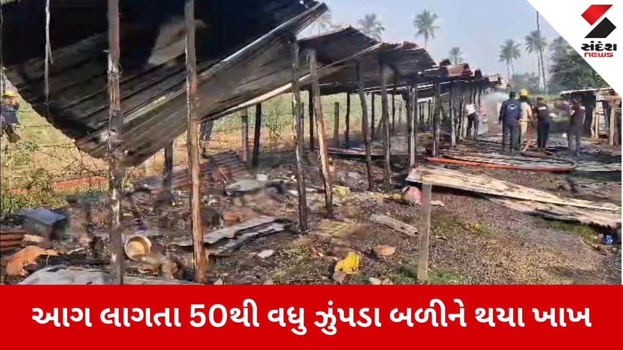 Surat News: ઝુંપડપટ્ટીમાં લાગી ભીષણ આગ 