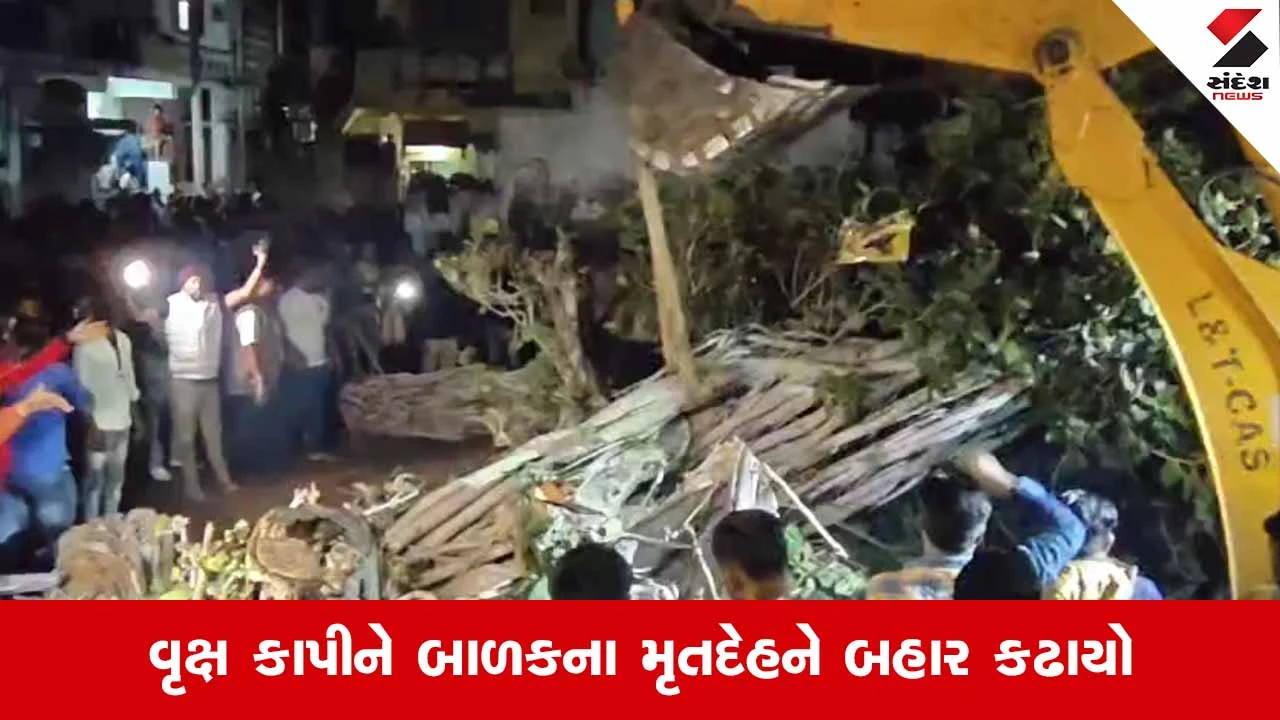 Mehsana News: વિજાપુરના હુસૈન ચોકમાં વૃક્ષ ધરાશાયી થતાં મોટી હોનારત, 12 વર્ષીય બાળકનું કરુણ મોત 
