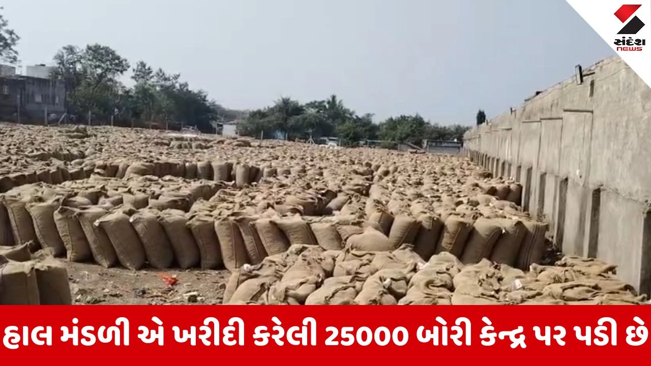 Amreli : ખાંભામાં મગફળી ખરીદી માટે સરકાર પાસે ગોડાઉન ન હોવાથી ખરીદી બંધ, ખેડૂતો પરેશાન 