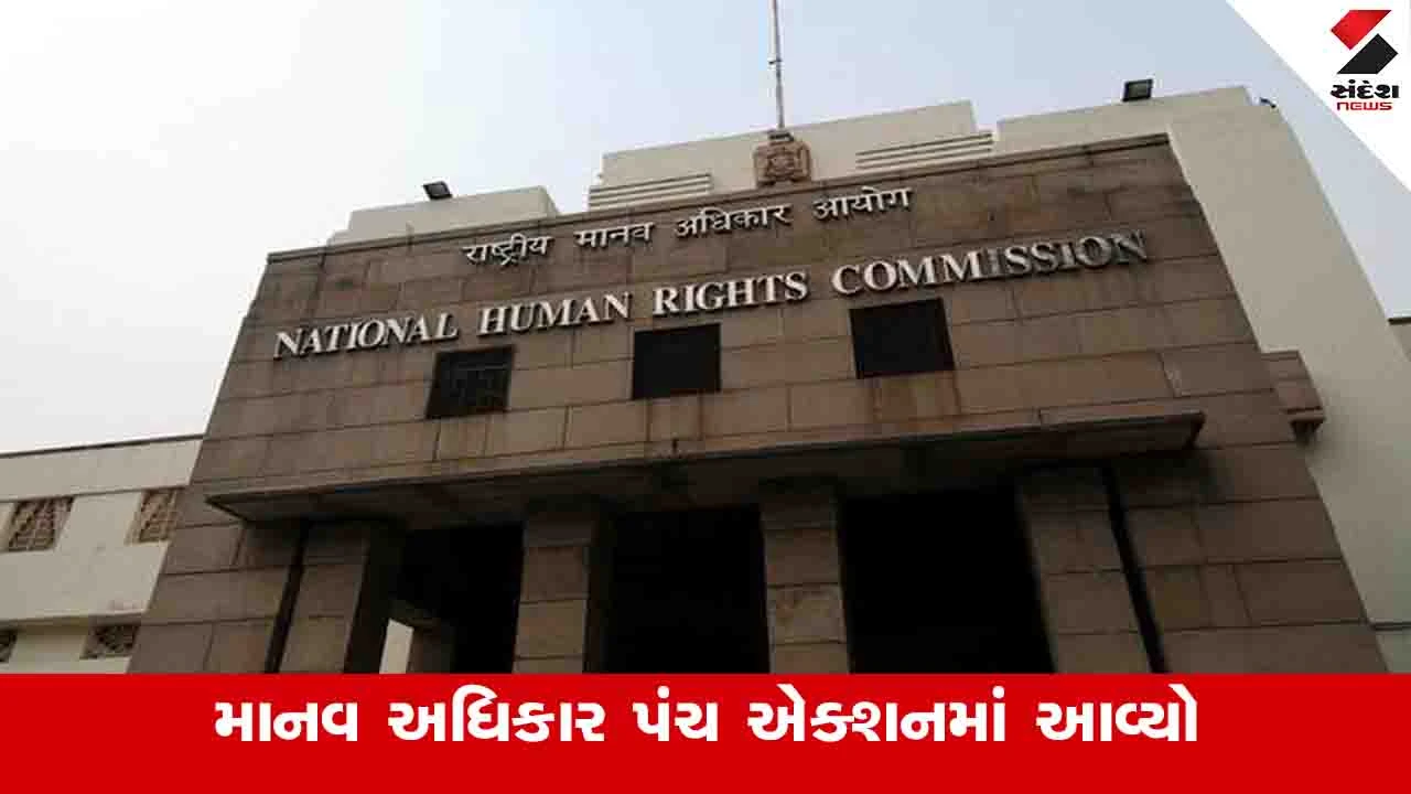 Gandhinagar: ટાઈફોઈડના કેસોને લઈ માનવ અધિકાર પંચે રાજ્યના મુખ્ય સચિવને નોટીસ આપી 