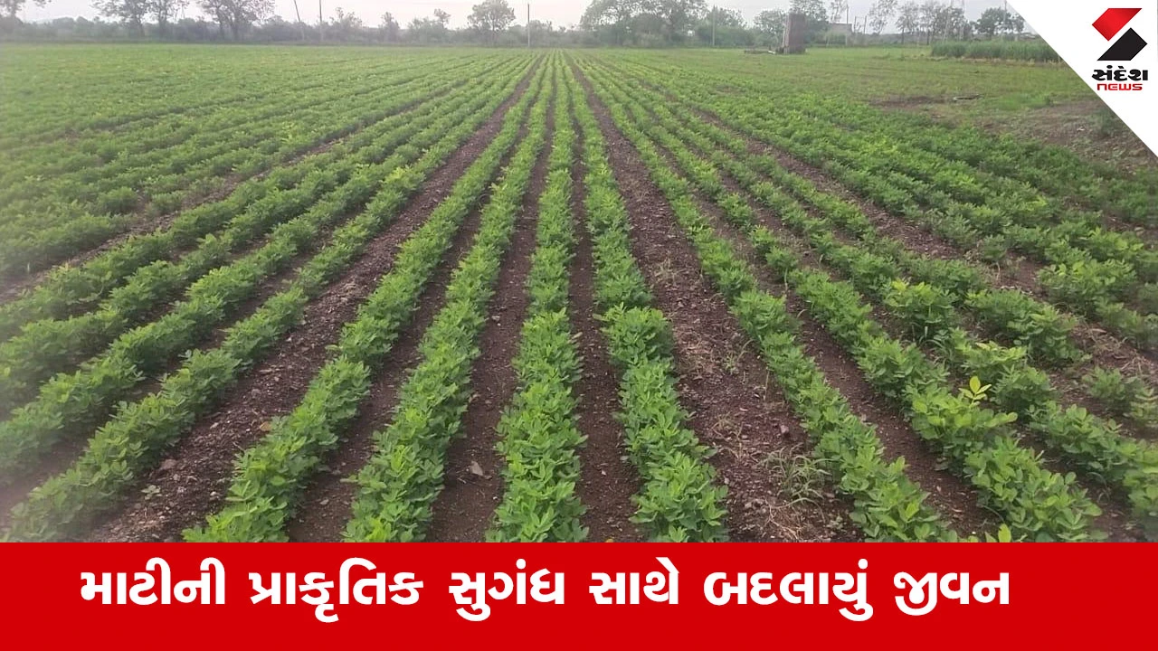 Agriculture News : માટીની પ્રાકૃતિક સુગંધ સાથે બદલાયું જીવન, ગઢડાના યોગેશભાઈની પ્રાકૃતિક ખેતીની પ્રેરક સફર 