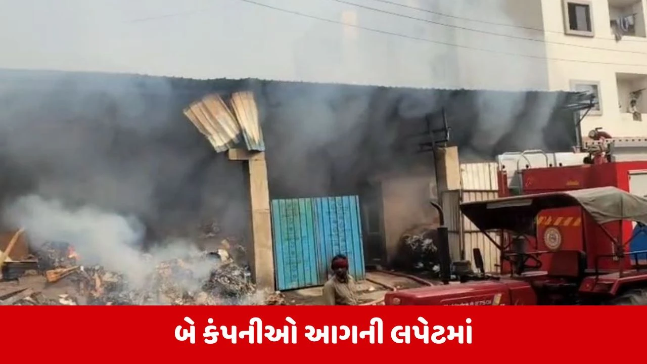 Sanand: મોરૈયાની બે ખાનગી કંપનીમાં લાગી વિકરાળ આગ, ફાયરની 5 ગાડીઓ ઘટના સ્થળે 
