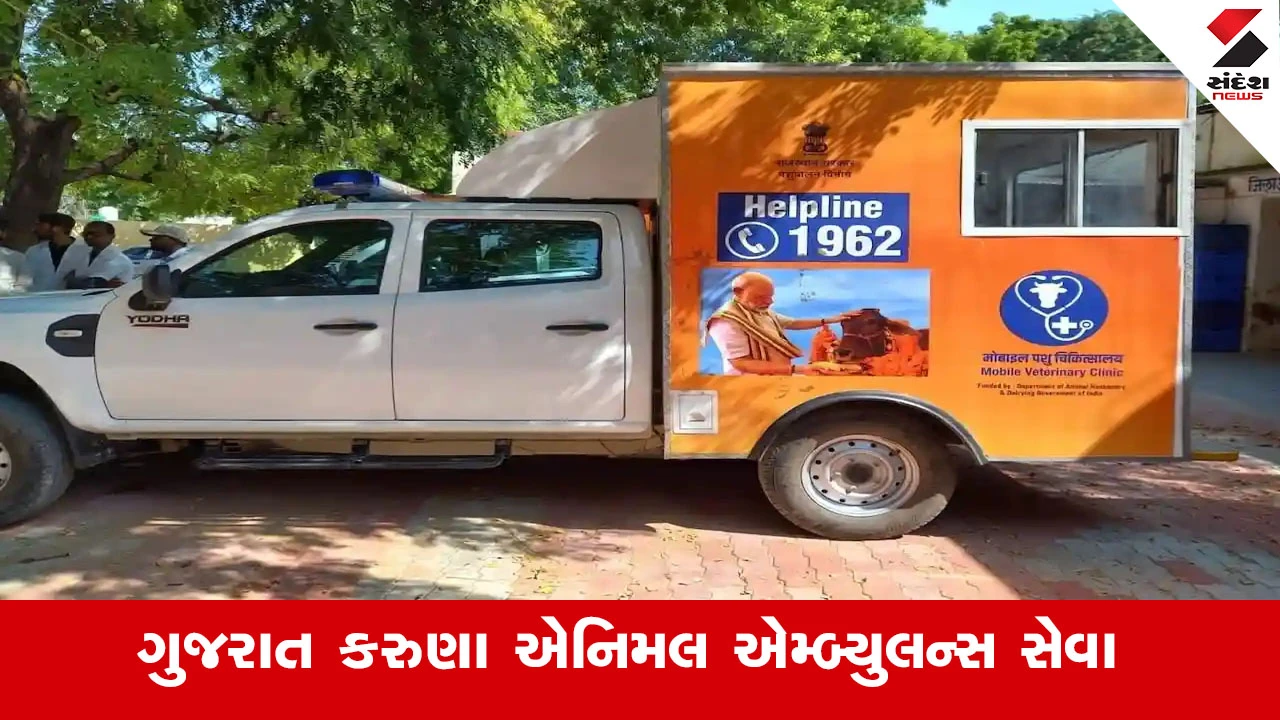 Ahmedabad News : ઉત્તરાયણના મુખ્ય તહેવારના દિવસોમાં 1962 કરુણા એનિમલ એમ્બ્યુલન્સ સેવાઓમાં તીવ્ર વધારો થવાનું અનુમાન 