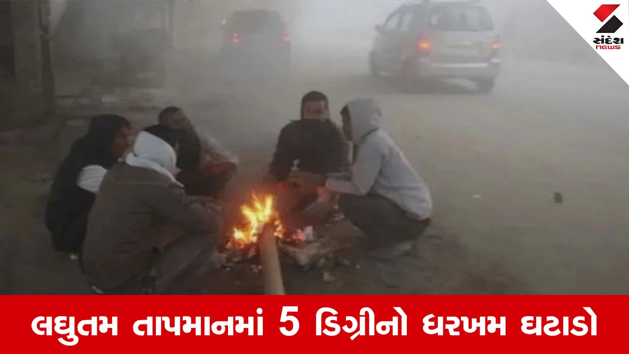 Weather News : ગુજરાતમાં હાડ થીજવતી ઠંડી, જાણો કયા શહેરમાં કેટલા ડિગ્રી તાપમાન નોંધાયું... 