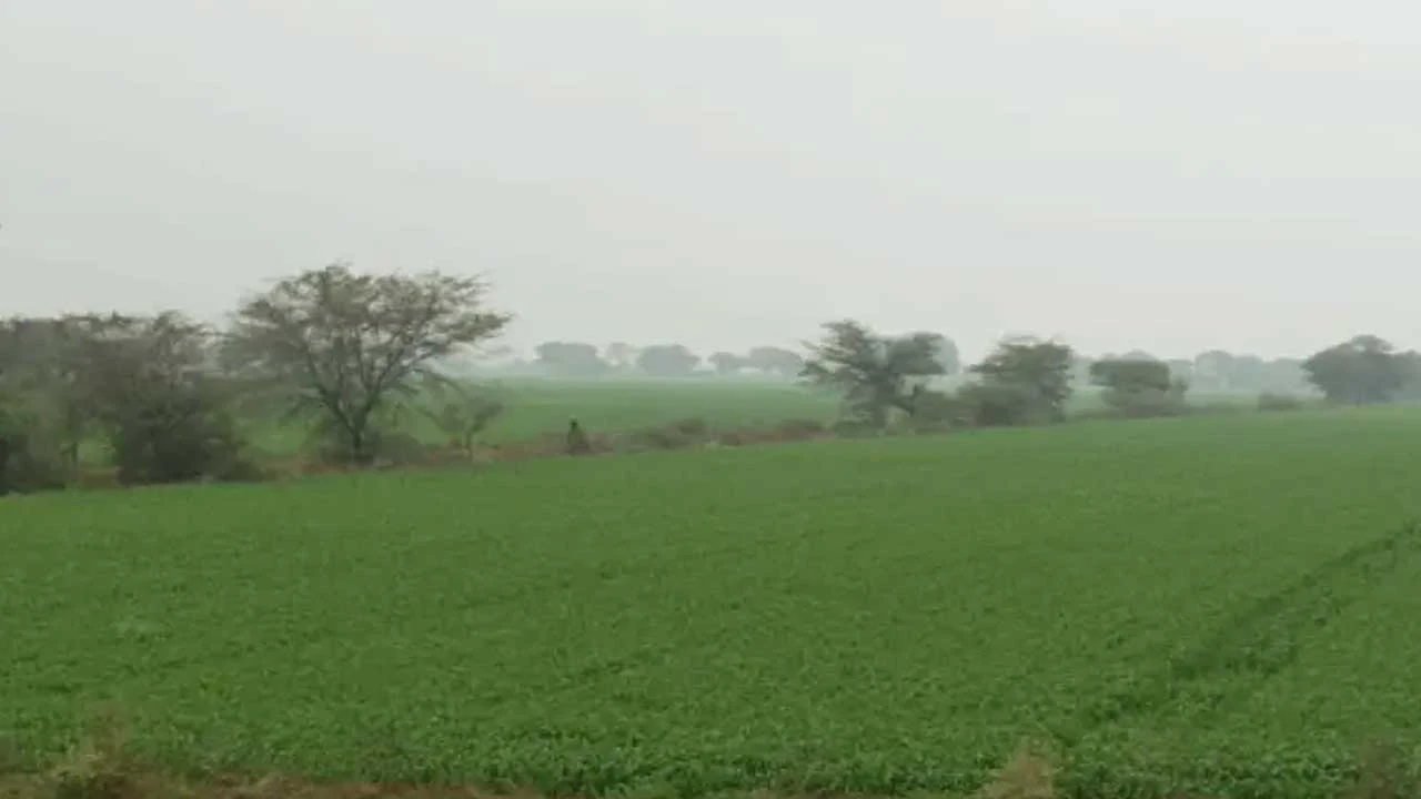 Rajkot: ચાર જિલ્લામાં સિઝનનો સૌથી ઠંડો દિવસ 