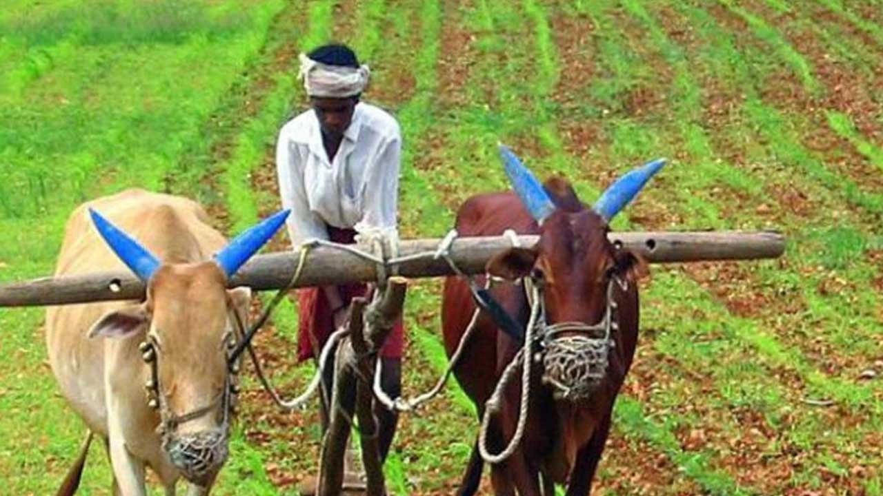 Himatnagar: કિસાન સંઘે સાબરકાંઠાના ખેડૂતોને ગાંધીનગર પહોંચવા અનુરોધ કર્યો 