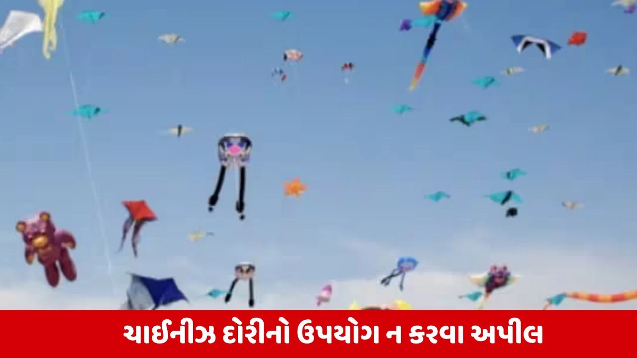 Gujarat News: રાજ્યમાં કરૂણા અભિયાનનું આયોજન, ચાઇનીઝ દોરીનો ઉપયોગ ન કરવા મંત્રીની અપીલ 