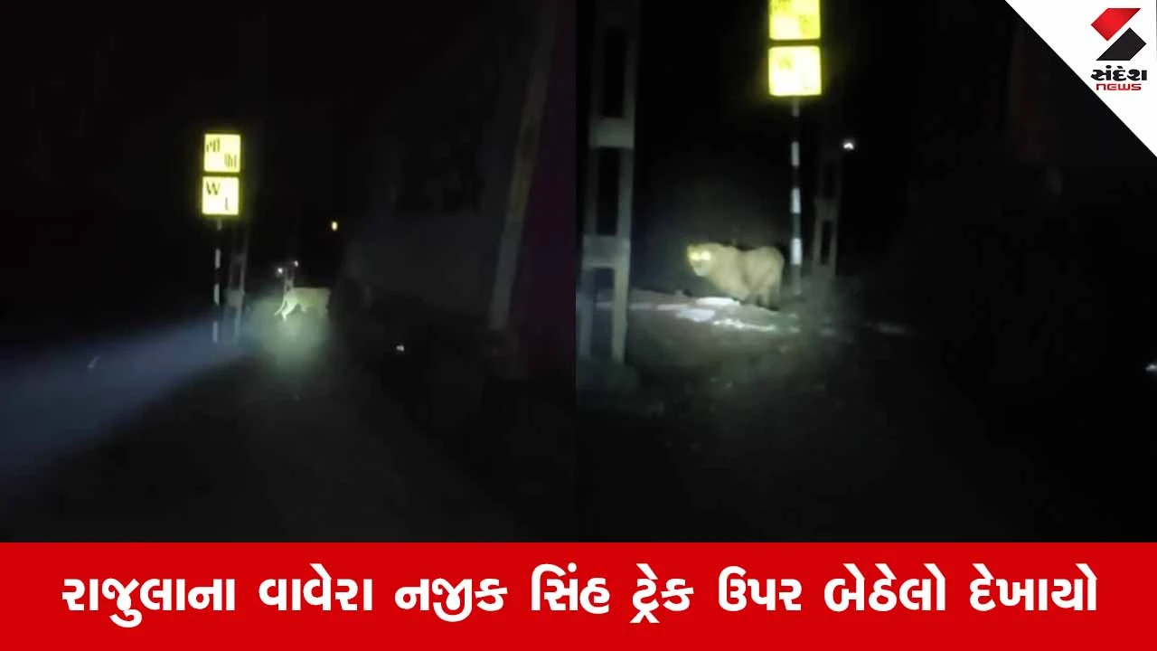Amreliમાં રેલવે ટ્રેક પર અડિંગો જમાવી બેઠેલા વનરાજાનો થયો આબાદ બચાવ, ટ્રેનને 1 કલાક થંભાવી દેવાઈ 