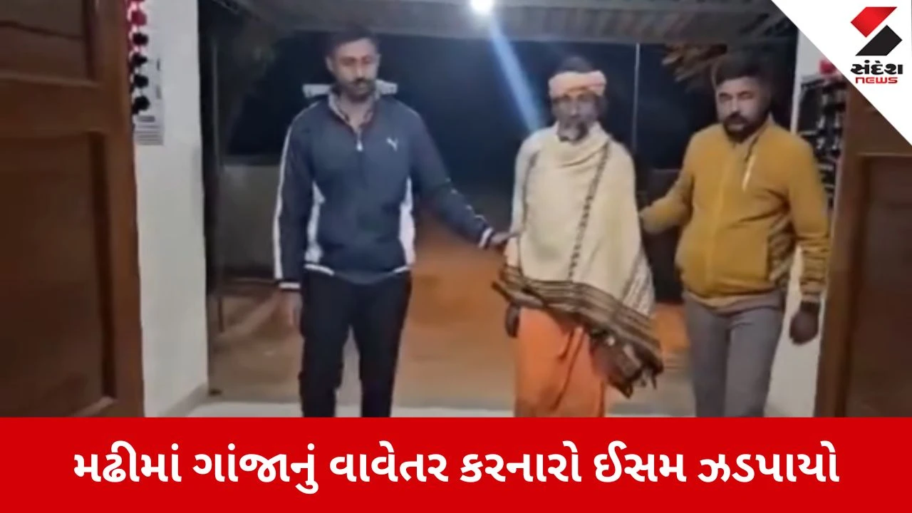 Botad news: ભક્તિની આડમાં નશાનો વેપલો? મઢીમાં ગાંજાનું વાવેતર કરનારો ઝડપાયો 