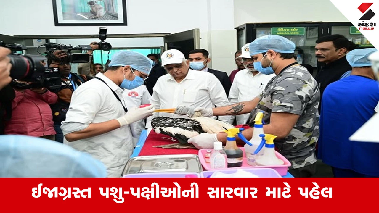 Makar Sankranti 2026 : ઉત્તરાયણ પર્વમાં ઈજાગ્રસ્ત થયેલા પક્ષીઓની સારવાર માટે રાજયભરમાં 10 થી 20 જાન્યુઆરી દરમિયાન યોજાશે ‘કરૂણા અભિયાન’ 