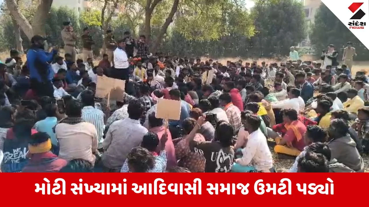 Morbi: આદિવાસી સમાજ દ્વારા કલેકટરને આવેદનપત્ર અપાયુ, ભાગીયા તરીકે કામ કરતા કામદારોને સરકાર તરફથી વળતર આપવામાં આવે તેવી માગ 