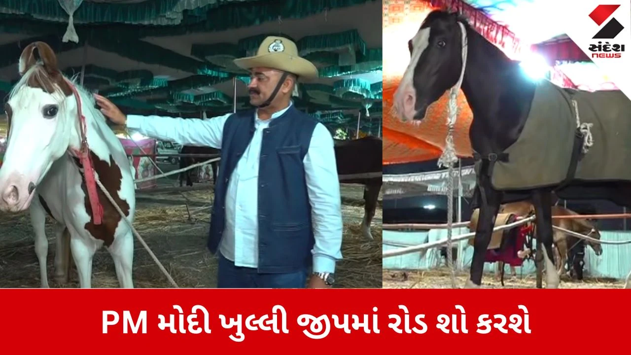 Gir Somnath: સોમનાથમાં આવતીકાલે શૌર્યનો સંગમ, PM મોદી ખુલ્લી જીપમાં કરશે રોડ શો, 108 અશ્વ સાથે નીકળશે ભવ્ય યાત્રા 
