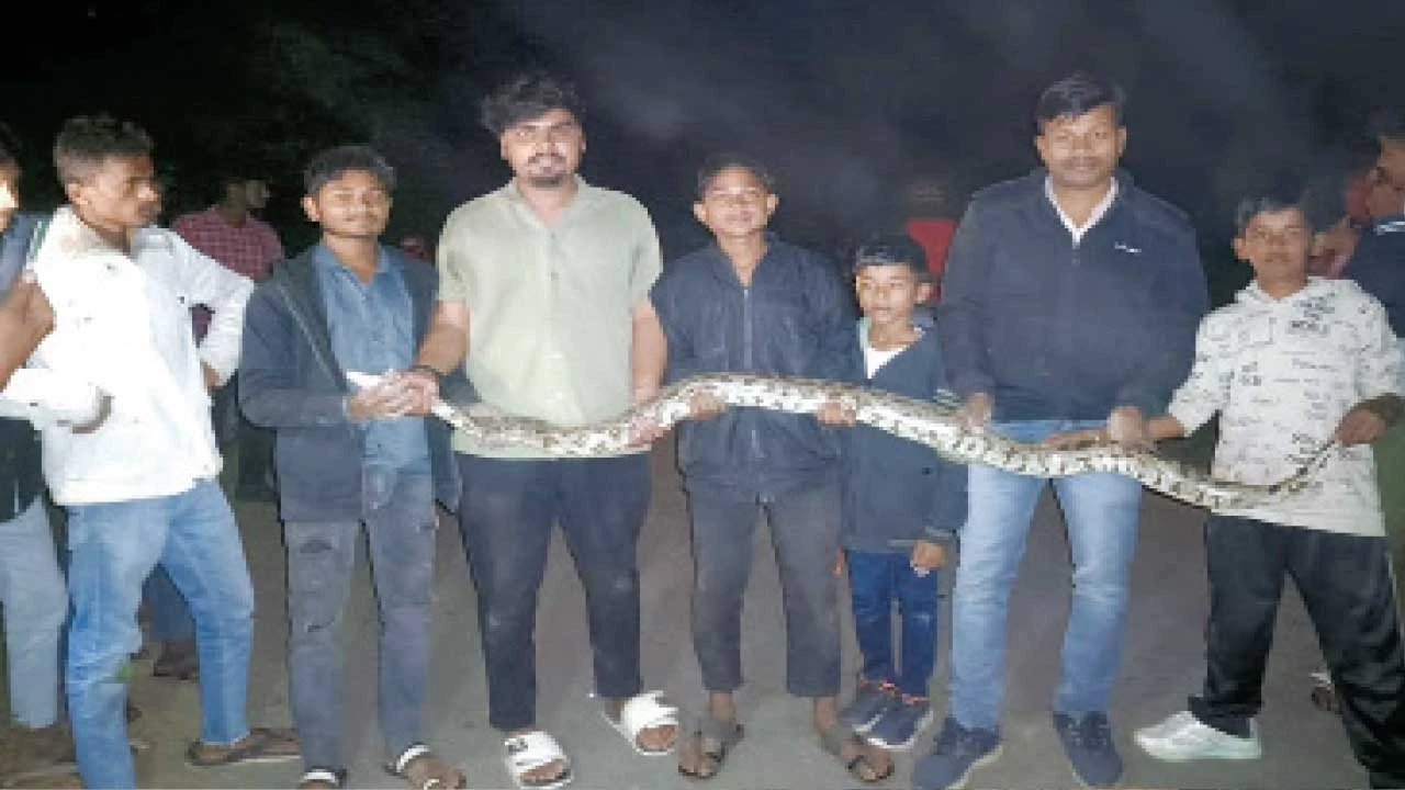 Chhotaudaypur:આકોના ગામે 6 ફૂટ લાંબા અજગરનું સફ્ળ રેસ્ક્યૂ 
