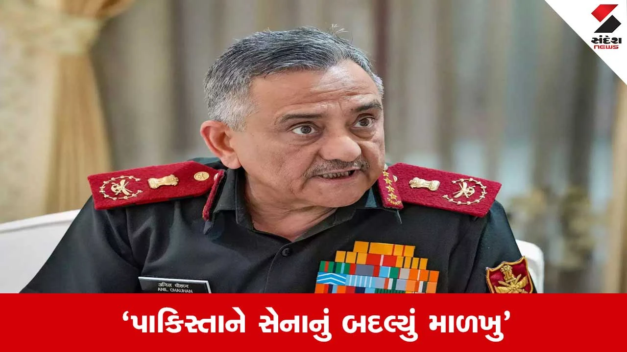 ઓપરેશન સિંદૂરની પાકિસ્તાન પર શું થઇ અસર? CDSએ જણાવ્યું 