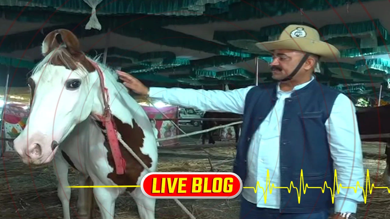 Gujarat Latest News Live :સોમનાથમાં આવતીકાલે શૌર્યનો સંગમ, PM મોદી ખુલ્લી જીપમાં કરશે રોડ શો, 108 અશ્વ સાથે નીકળશે ભવ્ય યાત્રા 