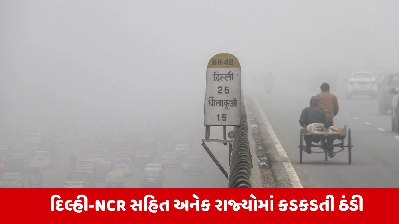 Weather Update: દિલ્હી સહિત આ રાજ્યોમાં ઠંડીનો કહેર, બે દિવસ શીત લહેરની ચેતવણી 
