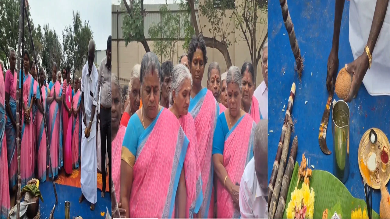 ત્રિચી તમિલનાડુમાં પરંપરાગત રીતે પોંગલ પર્વની ઉજવણી 