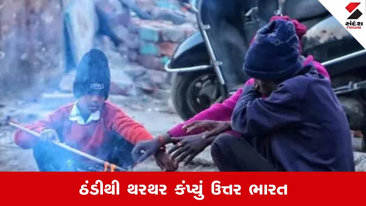Delhiમાં તાપમાન 2.9 ડિગ્રી, શિયાળાએ તોડ્યા રેકોર્ડ 