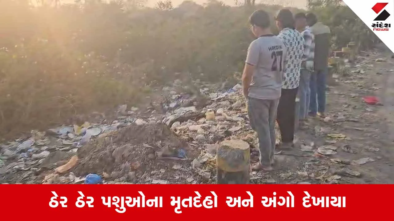 Vyaraના પાનવાડી ગામે શિવાલય નજીક મૃત પશુઓના રઝળતા અંગો જોવા મળતા મચી ચકચાર 