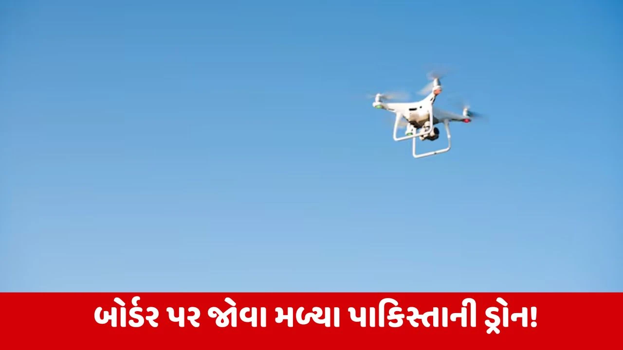 LOC અને આંતરરાષ્ટ્રીય બોર્ડર પર જોવા મળ્યા શંકાસ્પદ પાકિસ્તાની ડ્રોન, સુરક્ષા દળ હાઈ એલર્ટ પર 