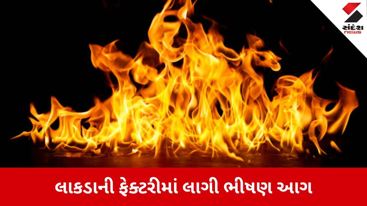 Ahmedabad News: લાકડાની ફેક્ટરીમાં ભીષણ આગ, બે લોકો ફસાયા હોવાની આશંકા 