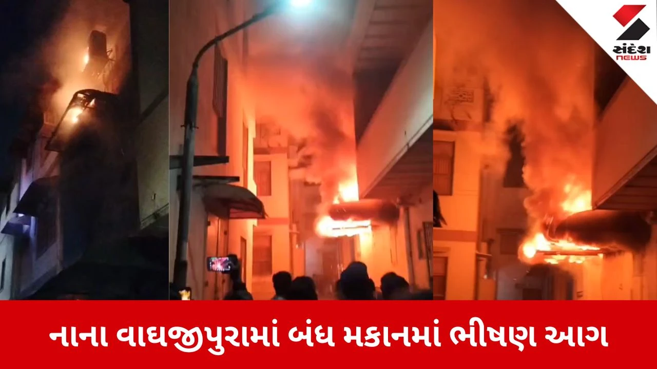 Ahmedabad News: દરિયાપુરમાં બંધ મકાનમાં લાગી ભીષણ આગ 