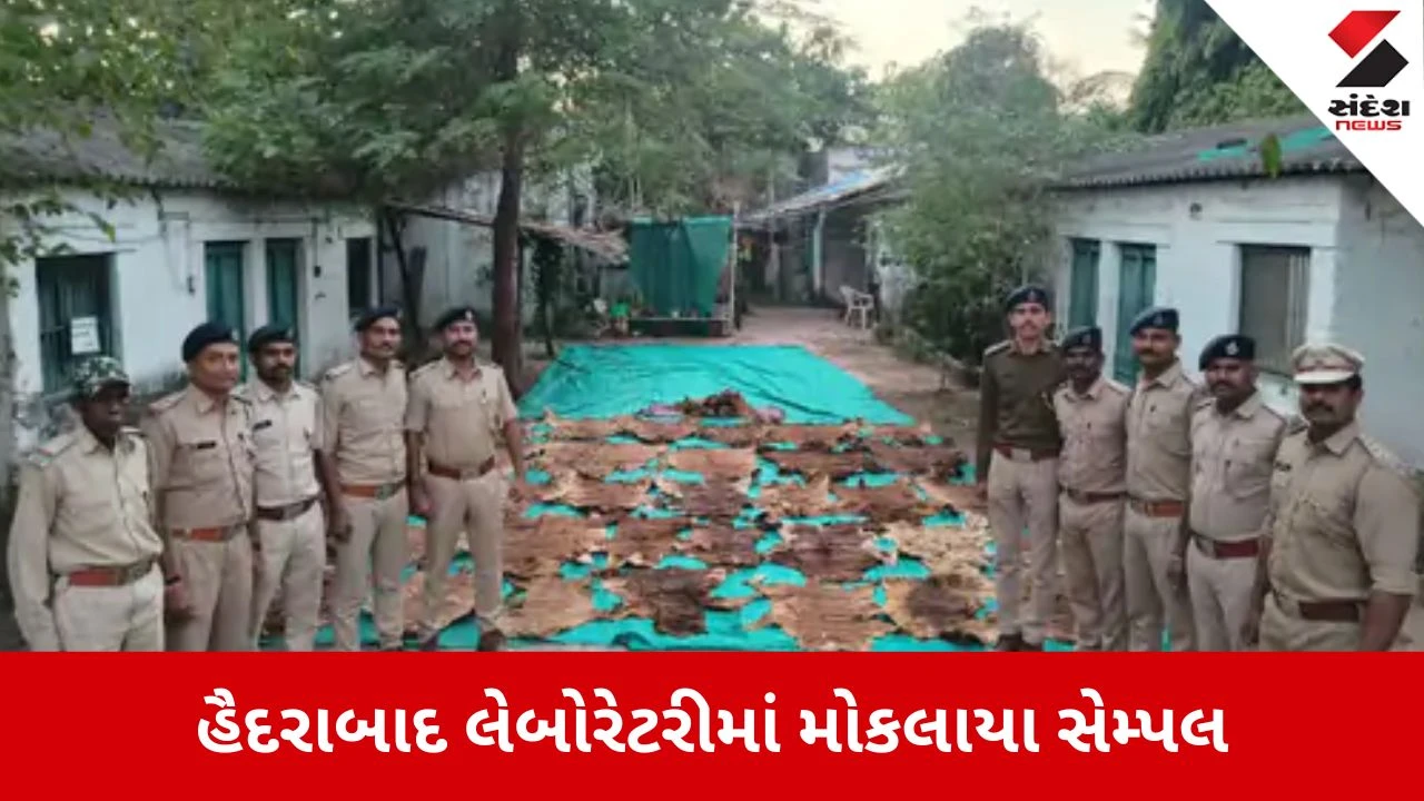 Narmada: ધર્મેશ્વર મહાદેવ મંદિરમાંથી મળેલા 40 ચામડા અને 130 નખ અસલી કે નકલી? FSL રિપોર્ટ પર સૌની મીટ 