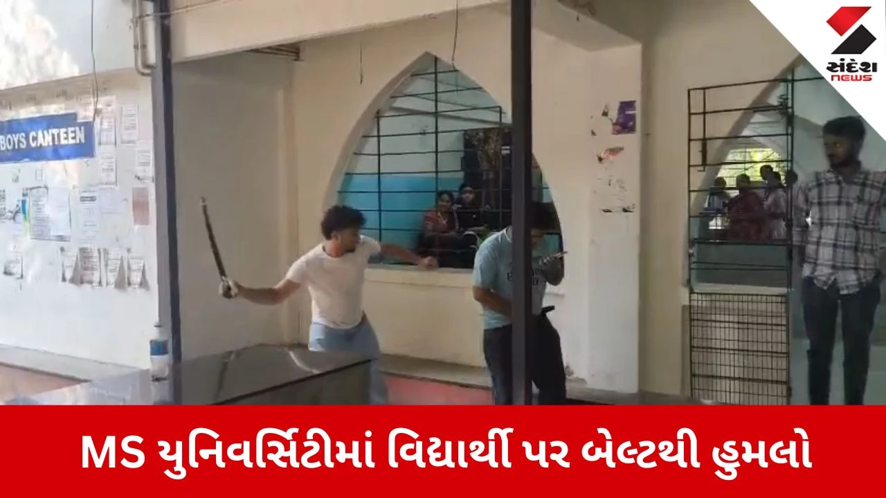 Vadodara News: સંસ્કારી નગરીમાં અસંસ્કારી હરકતોનો વીડિયો વાયરલ 