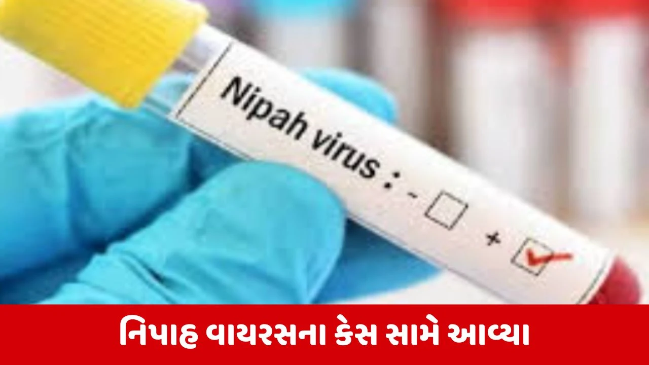 West Bengalમાં નિપાહ વાયરસના 2 શંકાસ્પદ કેસ સામે આવ્યા, કેન્દ્ર સરકારે સંભાળ્યો મોરચો 