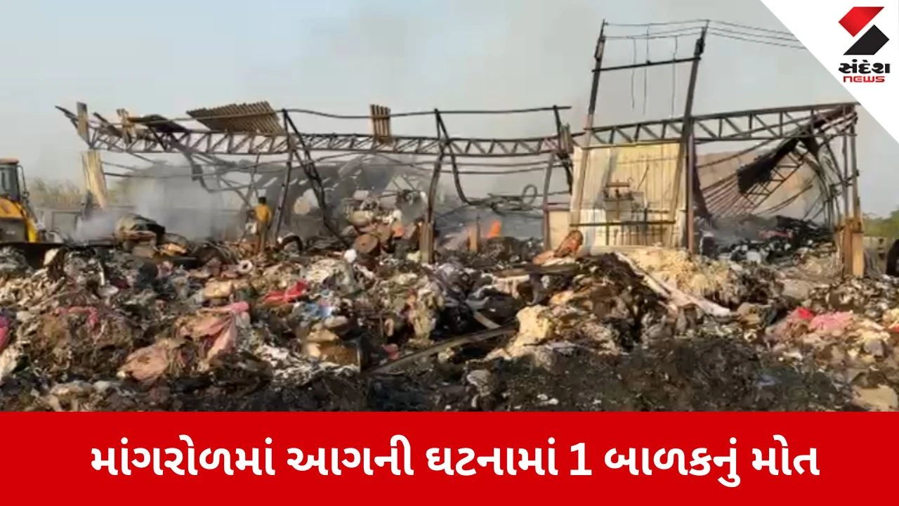 Surat: માંગરોળના હથોડામાં પેપર ગોડાઉનમાં ભીષણ આગ, મધ્યપ્રદેશના શ્રમિકના 6 વર્ષના માસૂમનું મોત, 5 કલાકે મળ્યો મૃતદેહ 