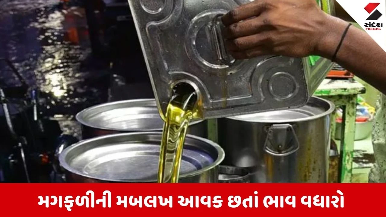 Rajkot : તહેવાર ટાણે જ સિંગતેલના ભાવમાં તેજી, સિંગતેલ 15 કિલોના ડબ્બાનો ભાવ 2725 થયો 