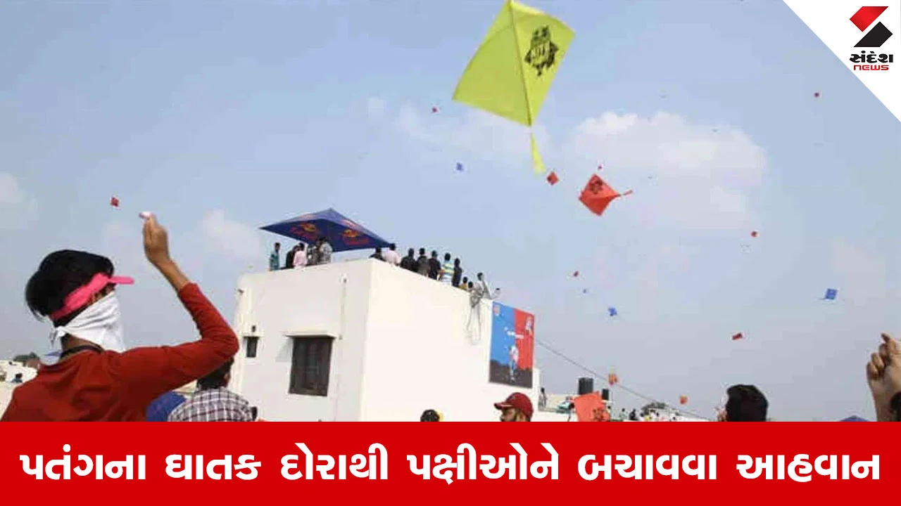 Ahmedabad News : પક્ષીઓના રક્ષણ માટે સરકાર સજ્જ, થલતેજ વાઇલ્ડ લાઇફ કેર સેન્ટરથી કરુણા અભિયાનનો પ્રારંભ 