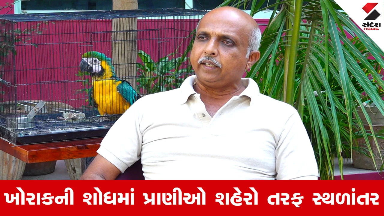 Ahmedabad News : પ્રાણીઓ ક્યારેય કારણ વગર હુમલો નથી કરતા, સ્વબચાવમાં જ બને છે હિંસક... 