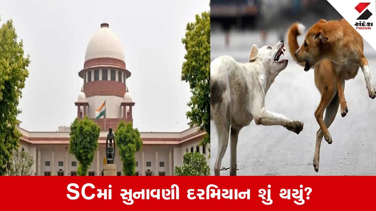 SC On Stray Dogs: રખડતા શ્વાન કરડવાથી મોત થાય તો રાજ્ય સરકારે ચૂકવવુ પડશે વળતર, જાણો SCમાં શું થઇ દલીલો 