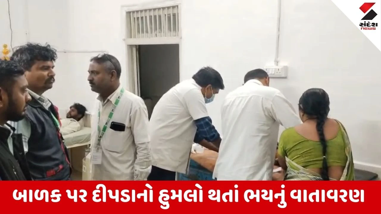 Amreli : ખાંભાના હનુમાનપુર ગામે 2 વર્ષના બાળક પર દીપડાનો હુમલો, વન વિભાગે દીપડાને પકડવા 2 પાંજરા મુક્યા 