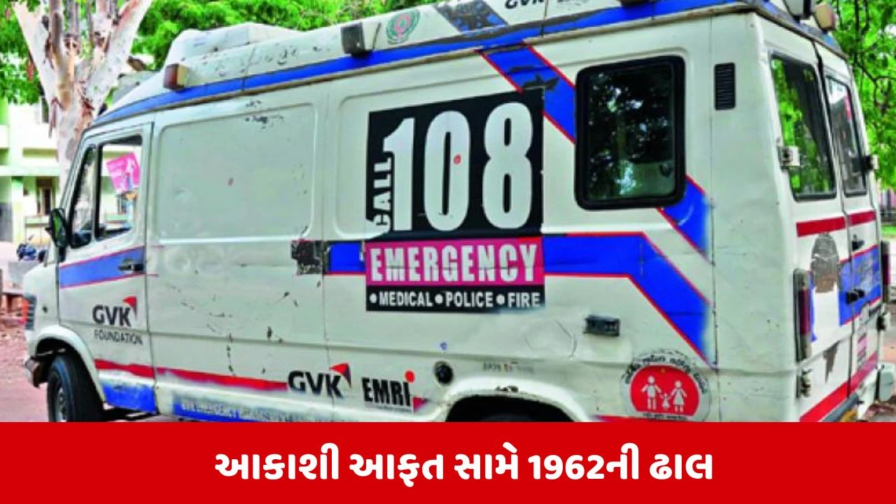 Gujarat News: કરુણા અભિયાન હેઠળ પક્ષીઓને બચાવવા ખાસ અભેદ્ય સુરક્ષા કવચ તૈયાર 