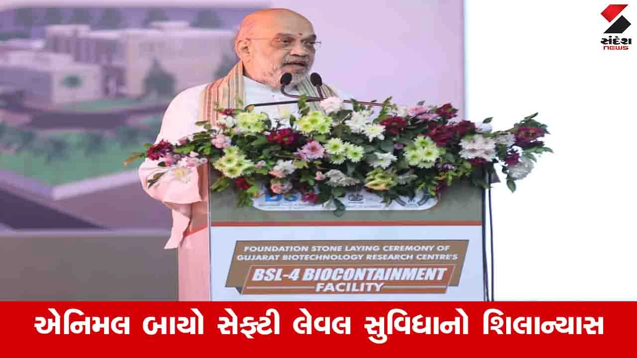 Gandhinagar : એક દાયકામાં દેશની બાયો ઈકોનોમી 10 બિલિયન ડોલરથી વધી 1600 બિલિયન ડોલરને પાર પહોંચી 