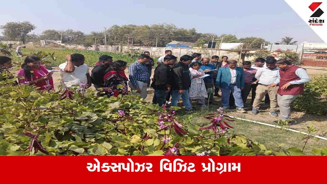 Agriculture News : ગુજરાતની પ્રાકૃતિક ખેતીની સુવાસ અમરેલીથી ઓડિશા સુધી પહોંચશે 