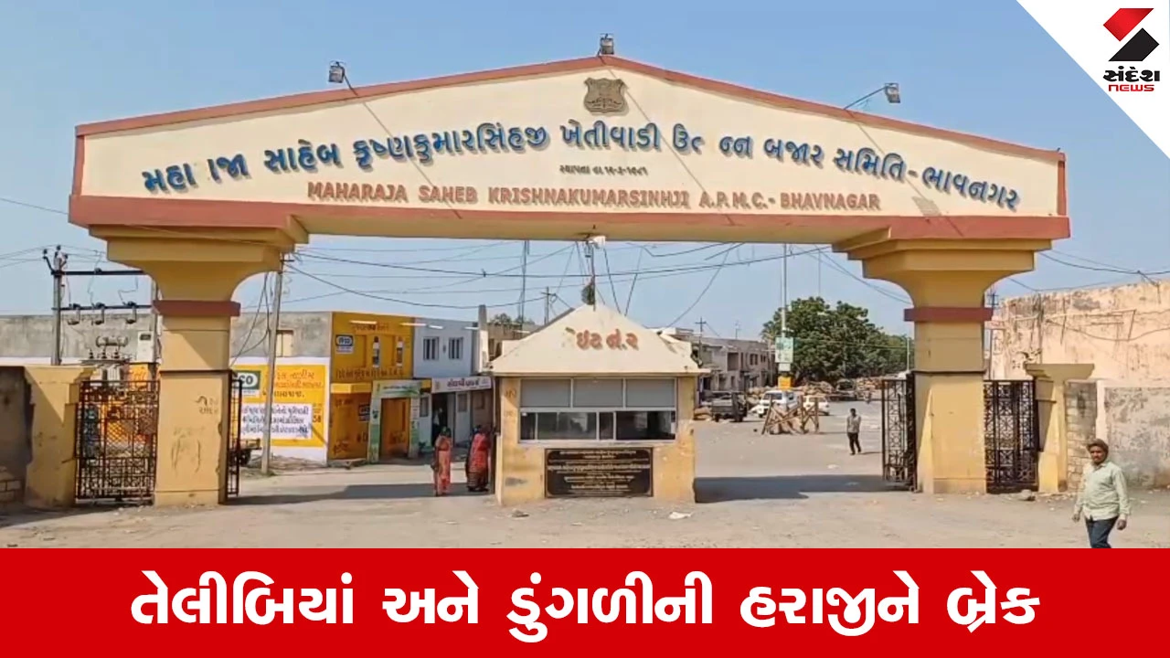 Bhavnagar News : મકરસંક્રાંતિ પર્વ નિમિત્તે ભાવનગર યાર્ડમાં હરાજીનું કામકાજ રહેશે બંધ 