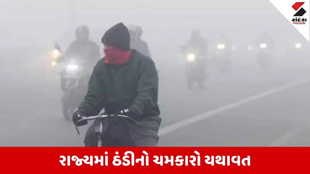 Ahmedabad માં ગાઢ ધુમ્મસથી હવાઈ સેવા ખોરવાઈ, 30 ફ્લાઇટ પર અસર, મુસાફરોને હાલાકી 