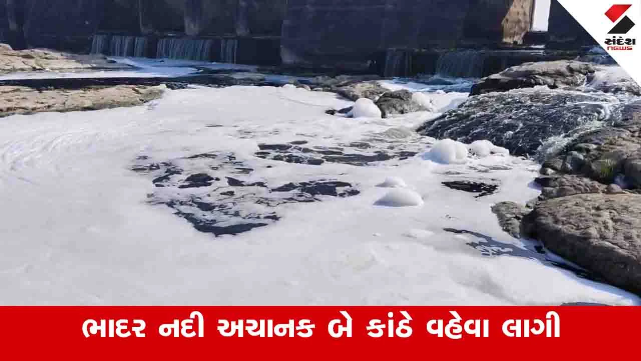 Rajkot News: જેતપુરના કેરાળી ગામમાં ભાદર નદીના પાણીમાં જાણે બરફ પડ્યો હોય તેવા દ્રશ્યો સર્જાયા 