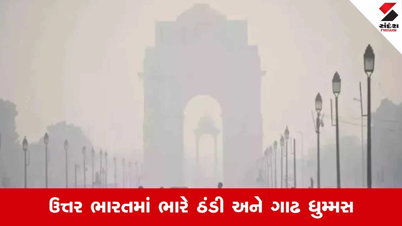દિલ્હી-NCR સહિત ઉત્તર ભારતમાં ઠંડીનો કહેર, વરસાદ અને હિમવર્ષાની આગાહી 