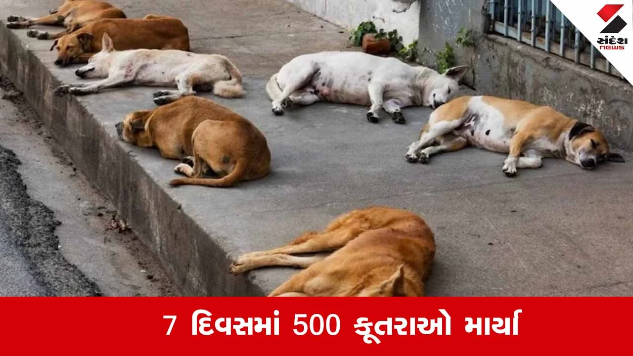 Telangana : ચૂંટણી વચનના નામે ક્રૂરતા, એક અઠવાડિયામાં 500 રખડતા કૂતરાઓની હત્યા 