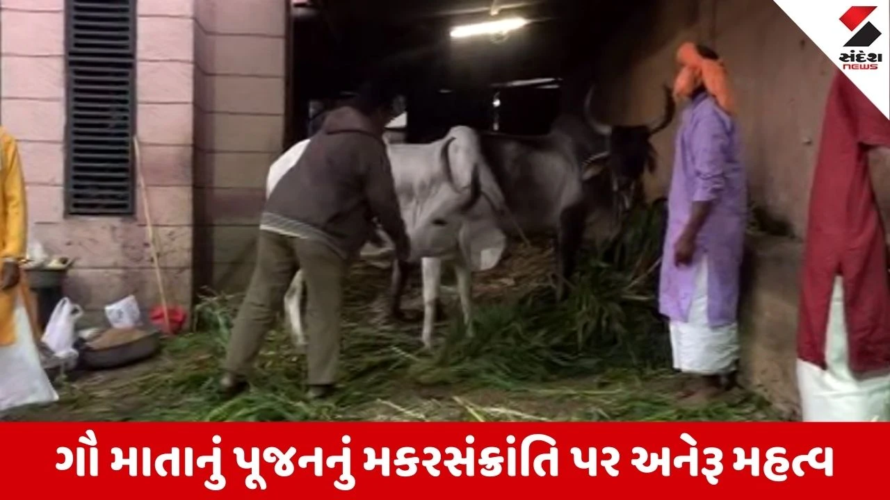 Uttarayan : દાન કરવાનું અનેરૂ મહત્વ એટલે મકરસંક્રાંતિ, અમદાવાદના જગન્નાથ મંદિરમાં ભક્તોની ભીડ 