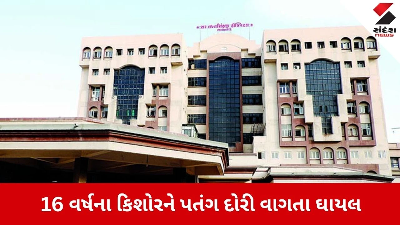 Bhavnagar News: પતંગની કાતિલ દોરીનો શિકાર બન્યો 